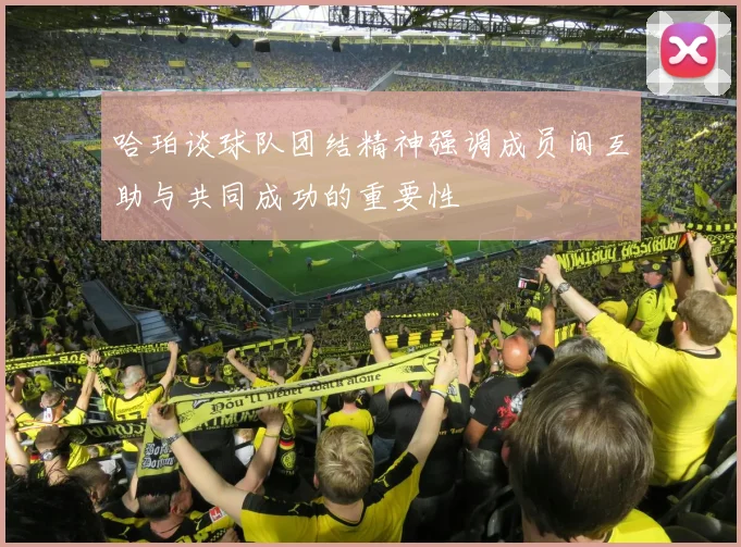 哈珀谈球队团结精神强调成员间互助与共同成功的重要性