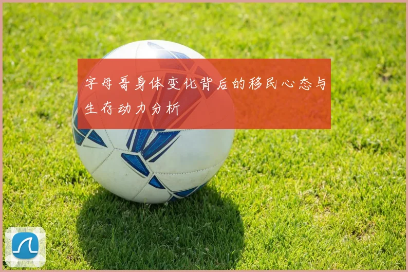 字母哥身体变化背后的移民心态与生存动力分析